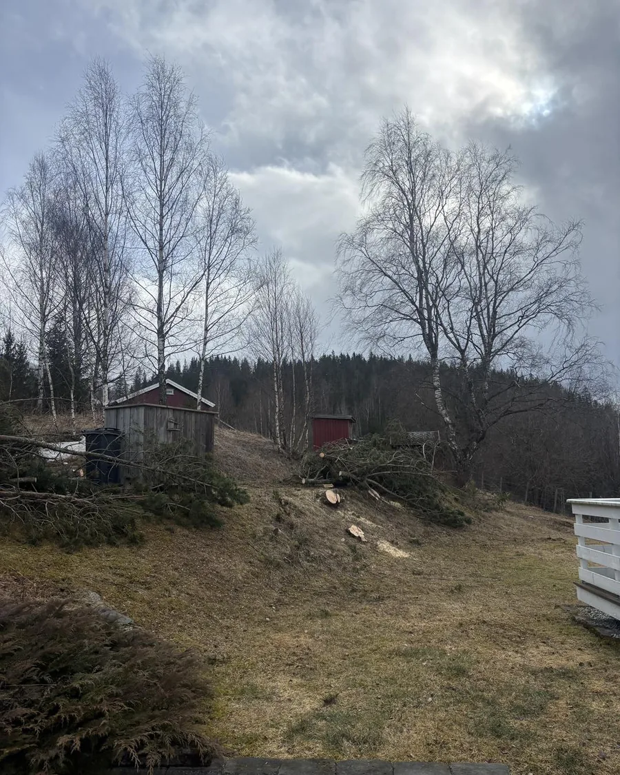 Trefelling i terreng